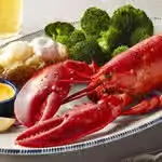 Live Maine Lobster (1.25 lb.)
